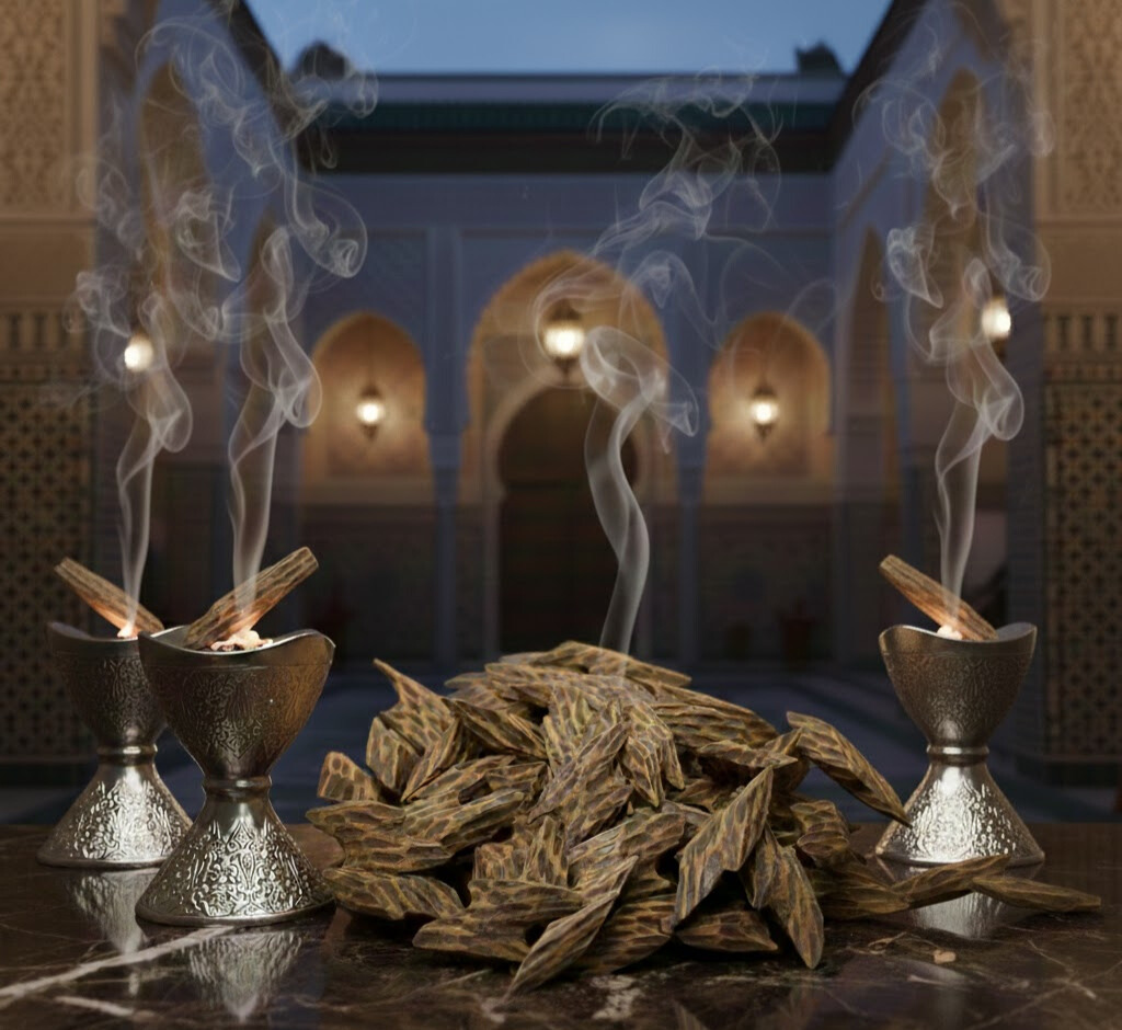 فخامة الفيتنامي.. عود تايجر (درجة أولى)